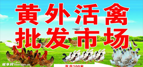 活禽批發與生鮮水產品市場設計圖規劃指南