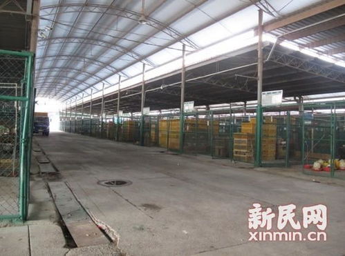 上海活禽交易恢復營業首日紀實 暫無在售活禽
