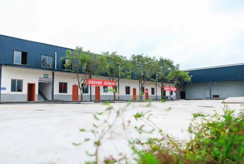 梁平首家自動化家禽屠宰廠正式投用，助力生鮮水產品市場升級