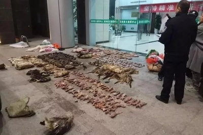 疫情下的緊急行動 各地叫停野生動物交易，生鮮水產品市場迎來新規范