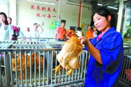 上海熱線hot新聞 | 禽類消費人氣未復，活禽交易仍待春