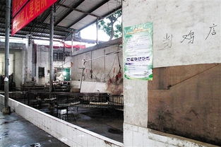 東莞本周活禽市場(chǎng)統(tǒng)一休市，市民仍可放心購買生鮮禽類及水產(chǎn)品