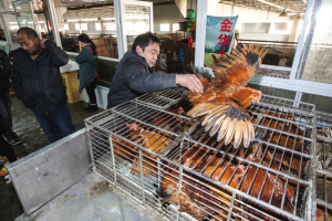 重慶推行活禽銷售分區(qū)管理，守護(hù)市民“菜籃子”安全