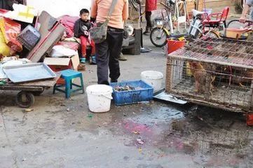 創出更美鹽邊 規范活禽宰殺與售賣，鹽邊這樣做